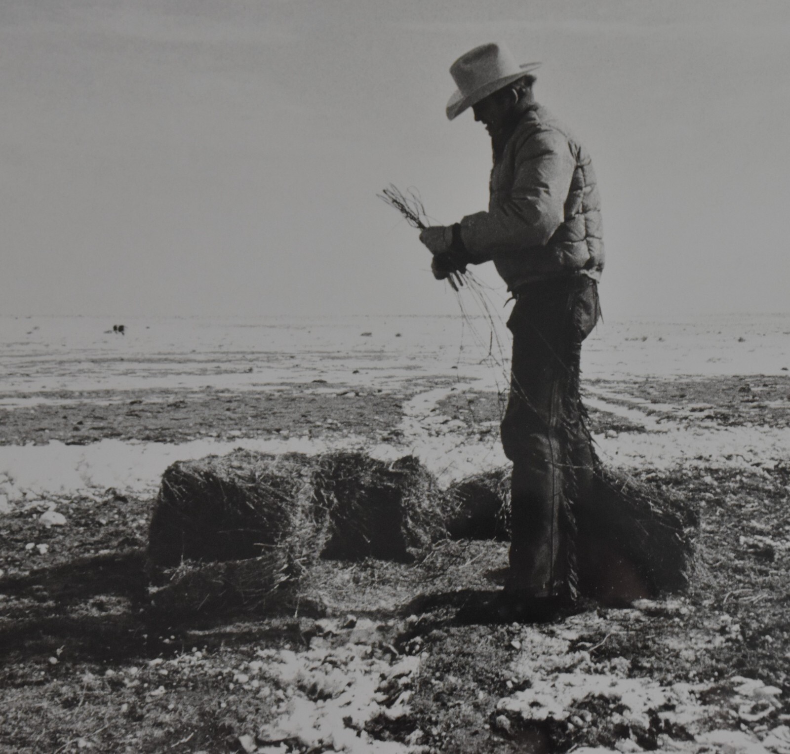 Vtg. Martin HM Schreiber "Cowboy" Photo Print Signed, Amarillo, Texas, 18.5"x23"