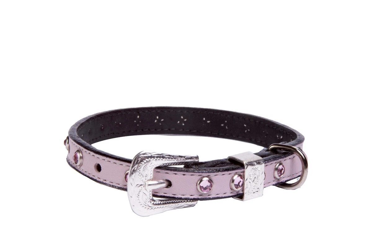 Pink swarovski cheap dog collar