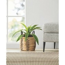 10 inch Claren Woven Water Hyacinth Basket Planter