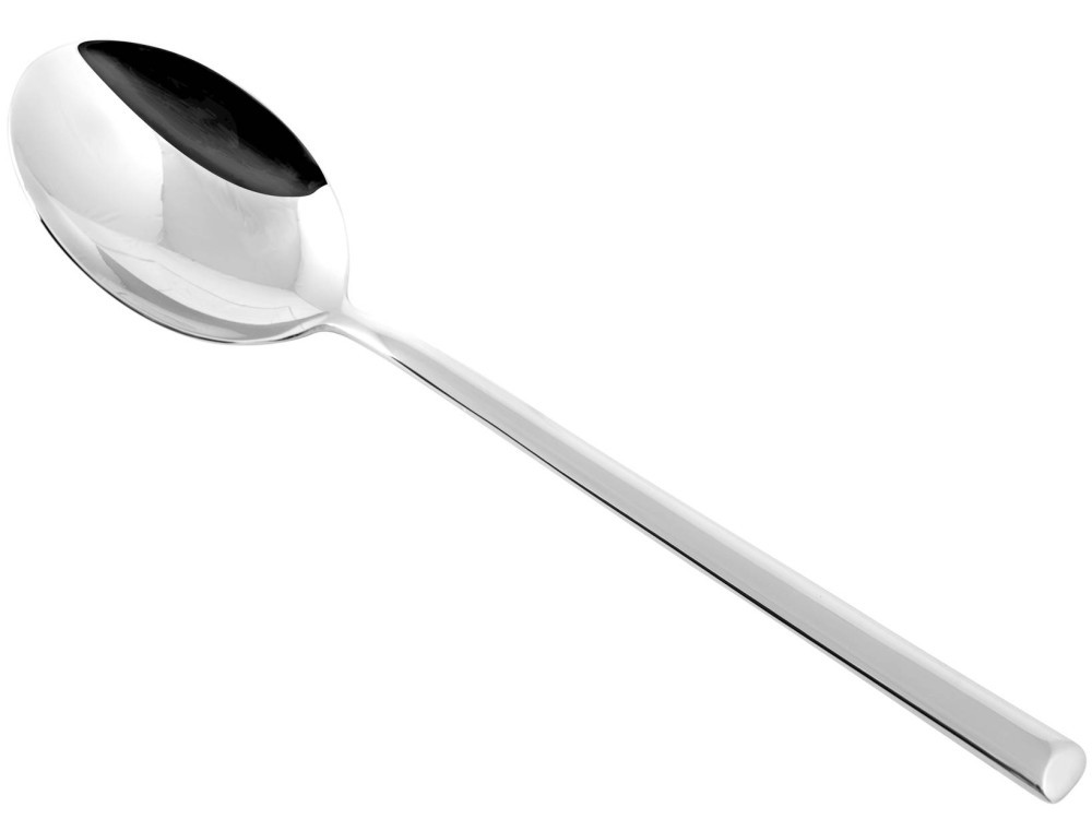 Synthesis Gray Inox Spoon 3X28X5 Cm Pinti Inox