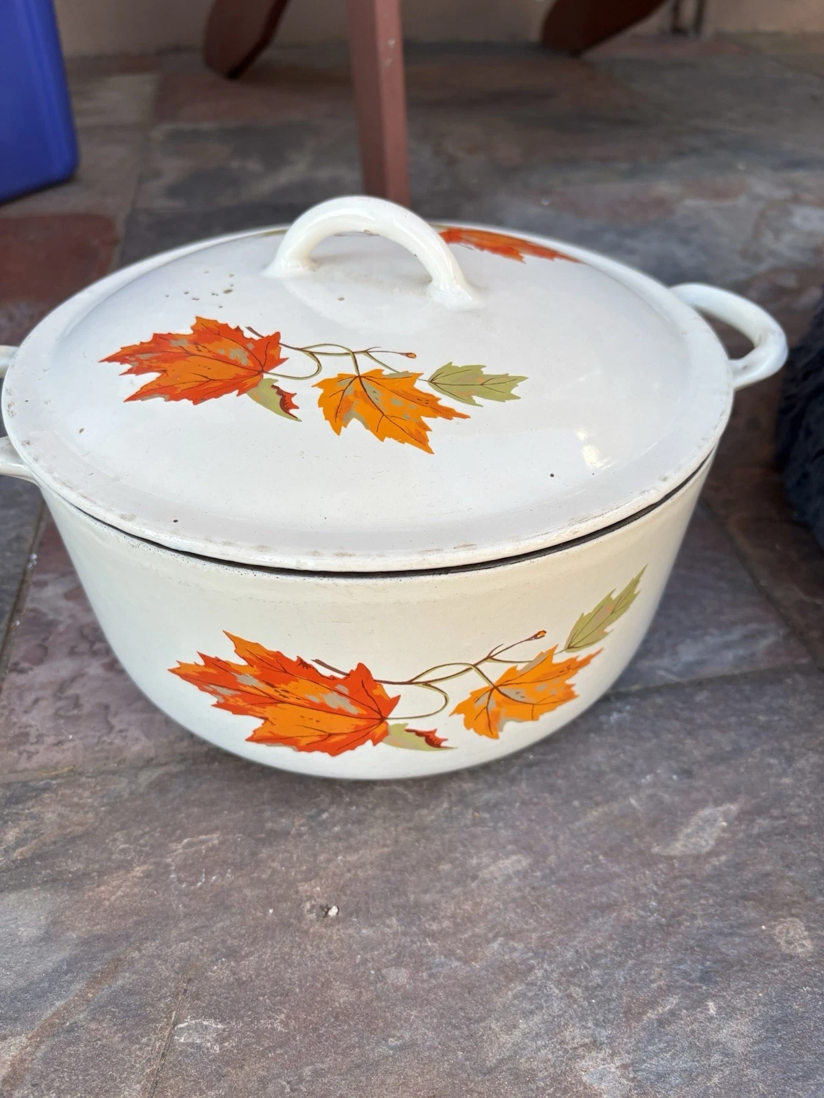 Descoware Autumn Leaves Dutch oven With Lid 3 QT 9 in ( USED)