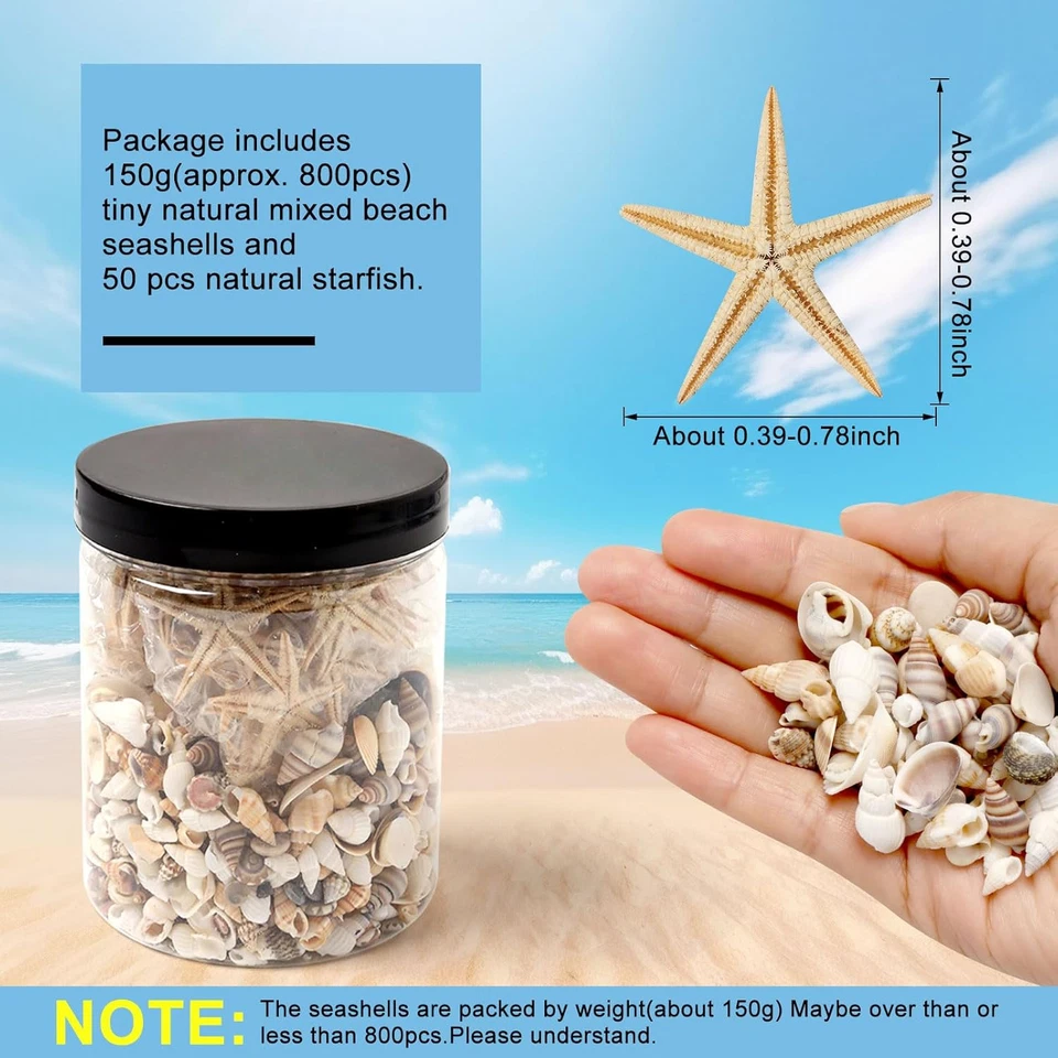 800 Pieces Tiny Sea Shells Small Natural Starfish Mixed Ocean Beach Spiral Shell - Image 2 of 4