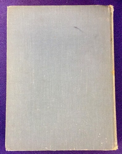 1938 The Book of Baby Pets - illustrated in Colour by E.J. Detmold - Picture 12 of 12