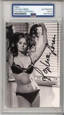 SOPHIA LOREN AUTOGRAPH LINGERIE BIKINI PICTURE PSA DNA COA SIGNED PHOTOGRAPH