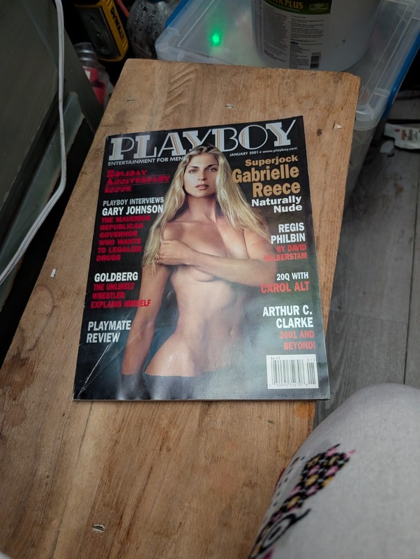 PLAYBOY MAGAZINE JANUARY 2001, GABRIELLE REECE, HOLIDAY ANNIVERSARY EDITION, EXC