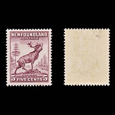 8261: Newfoundland SG213 5c Maroon 1932 Sc#190 Mi176A Mint MLH C£40