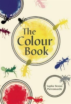 COLOUR BOOK by PIETROMARCHI, S B Hardback Self Help Business