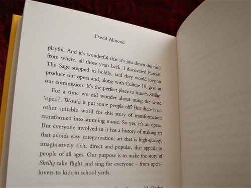 SKELLIG - 15th Anniversary First Print - David Almond - Flat Signed - 2013 - Picture 10 of 12