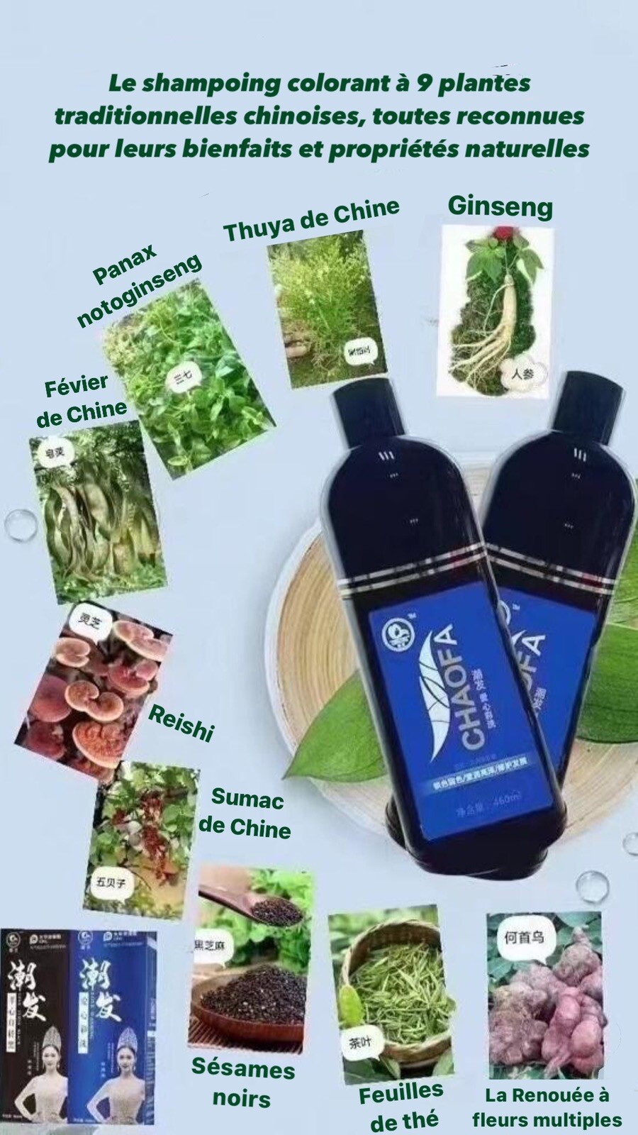 Shampoing colorant de plantes pour un éclat salon à la maison