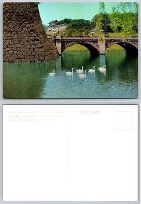 Continental Imperial Palace Grounds Swans Postcard