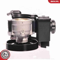 Hydraulikpumpe Lenkung Esen SKV 10SKV153 FüR Partner Berlingo CitroËN Peugeot 2A