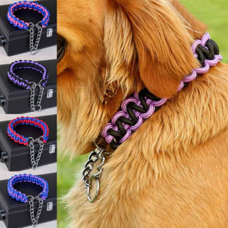 Training collars for large dogs deals