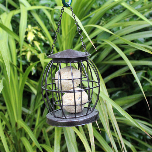 Metal Bird Fatball Feeder with Squirrel Guard Hanging Suet Food Feed Station - Picture 2 of 5