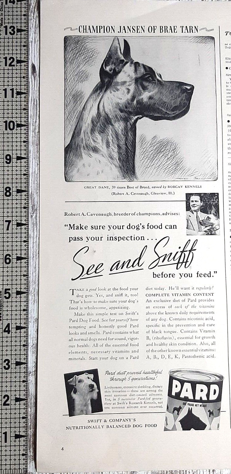 Vintage Print Ad Swift & Co Great Dane Champion Best In Show