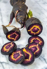 200 Black Nebula Carrot Seeds -------- Heirloom -- NON GMO --- FRESH ----- RARE