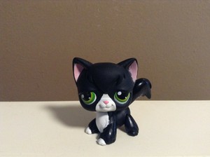lps tuxedo cat