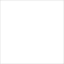 FREE SHIPPING 10 x 12 ft Cotton Muslin Backdrop Backgrounds White