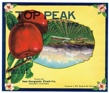 ORIGINAL APPLE CRATE LABEL VINTAGE REDLANDS TOP PEAK 1930 OAK GLEN MISPRINT