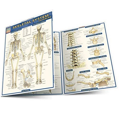 Skeletal System: Advanced (Quick Study Academic)