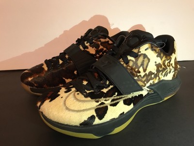 kd 7 longhorn