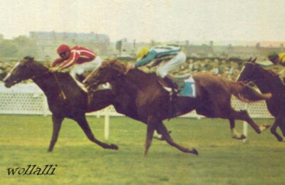 Rare Postillon 1967 Equestrian Horserace Freddy Head Sur Bon Mot No. 1