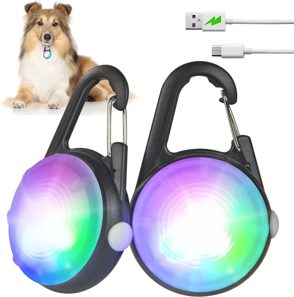 Dog collar lights clearance waterproof