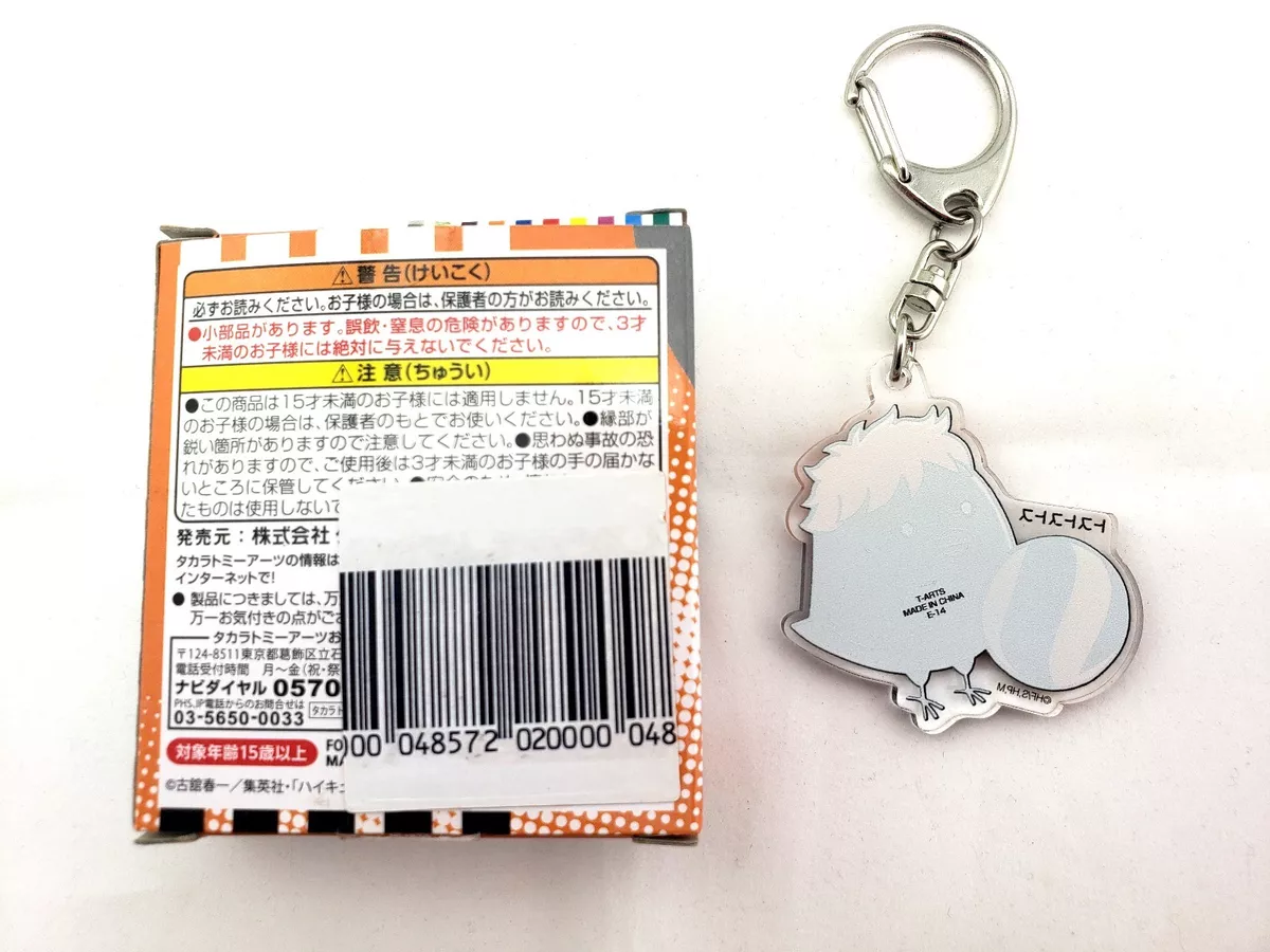 Haikyuu! TO THE TOP! Metallic Trading Acrylic Key Ring Blind Box Super  Anime Store