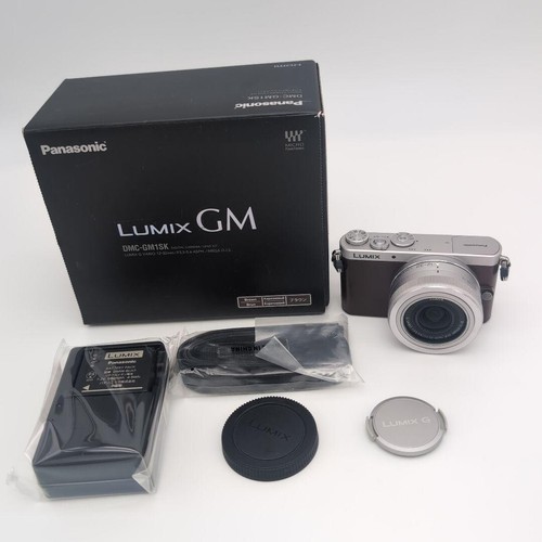 Panasonic Lumix DMC-GM1S Digital Camera Brown
