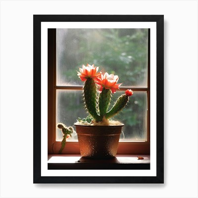 Rebutia Kaktus am Fenster 4 Kunst P gerahmt Wandbild Poster Leinwanddruck Bild