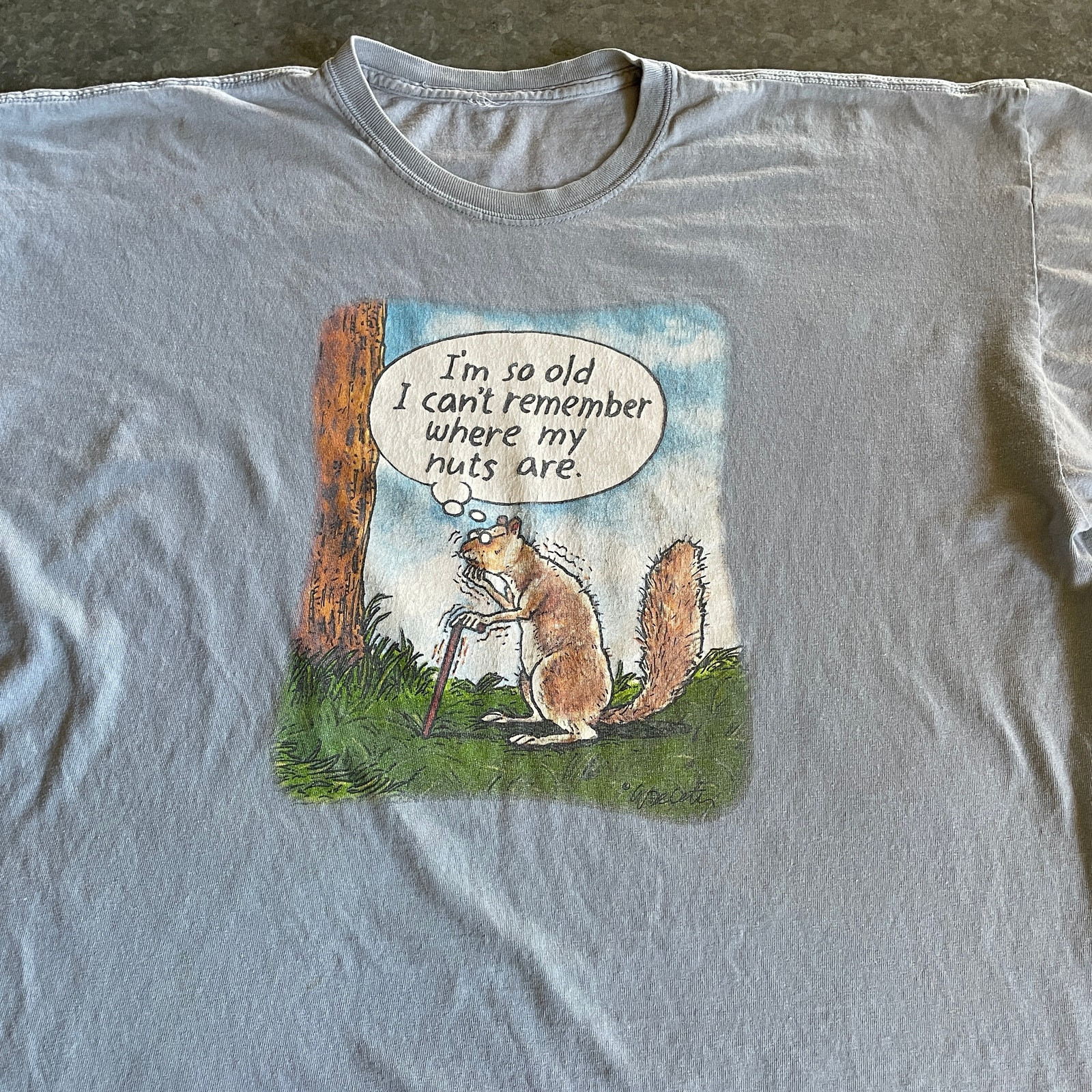 ALTRA Maglietta I’m So O Ian’t Can’tber Remem Wh Myts Nut Are 2XLtage Vin Y2Kertente Divertente