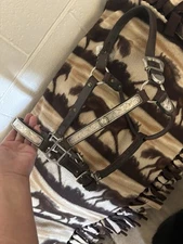 BILLY ROYAL WESTERN SHOW HALTER with SILVER@@
