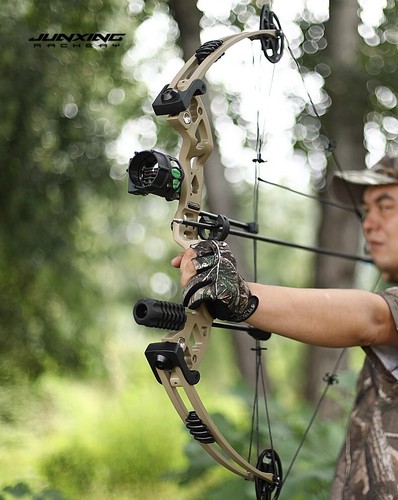 Compound Bow 30-55LBS Set Let-off 70% Fishing Hunting Adjustable Adult Target RH - Picture 11 of 24