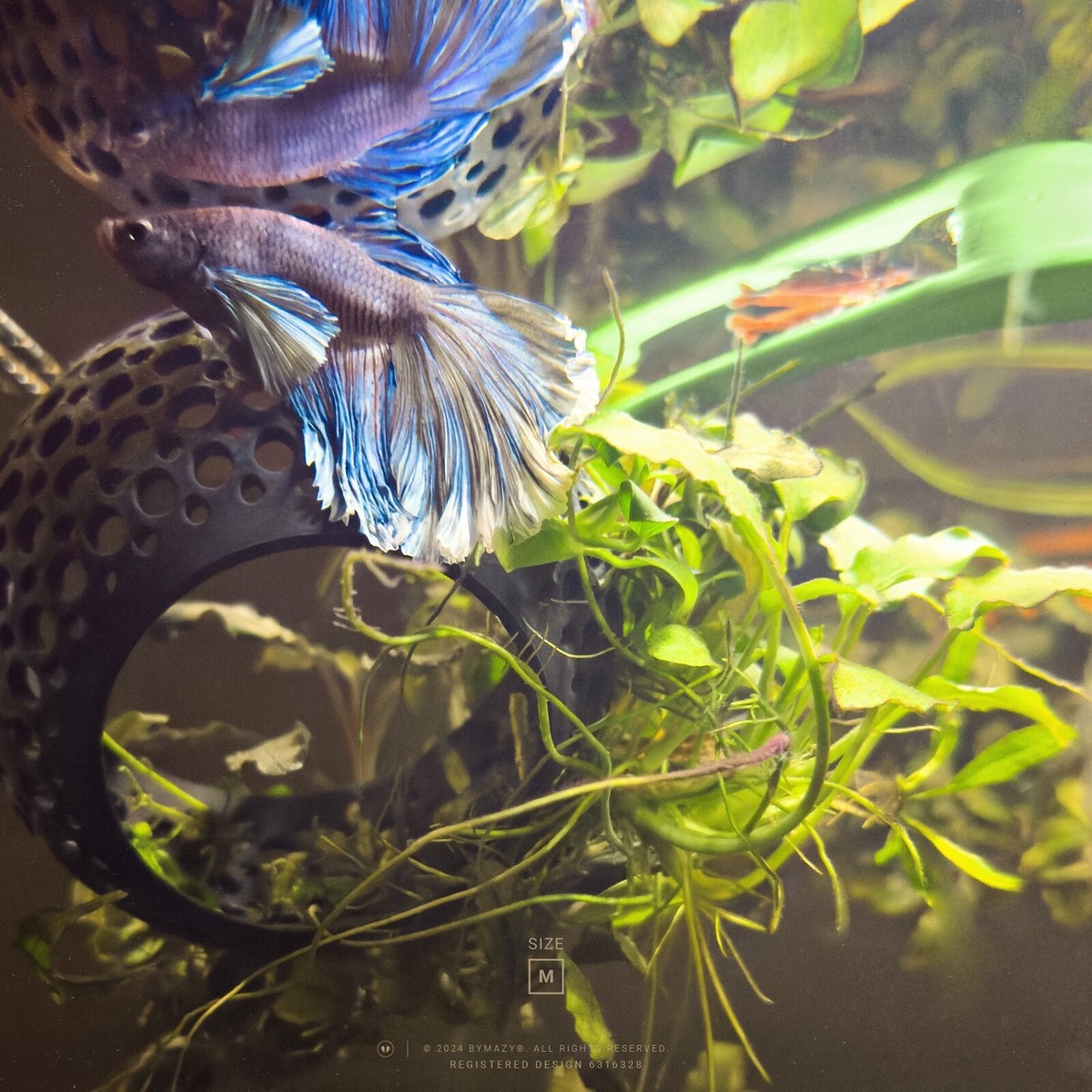 Fish Hideout Cave Abizoo Betta Fish Tank Accessories - Swim-Through Tunnel, Hammock & Moss Ledge For Betta & Shrimp Aquarium Decoration Fish Hideout Cave Abizoo Betta Fish Tank Accessories - Swim-Through Tunnel, Hammock & Moss Ledge For Betta & Shrimp Aquarium Decoration