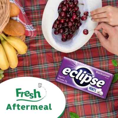 16 tins X Mints Wrigley's Eclipse Blackcurrant Sugarfree Candy Tin Fresh Breath