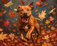 Rhodesian Ridgeback Jumping in Autumn Leaves 8x10 Matte Print