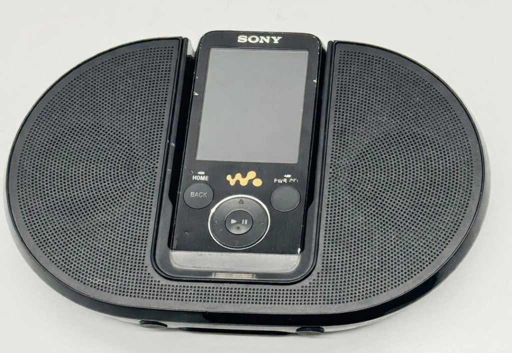SONY Walkman NW-S736F 4GB Digital Audio Player with Speaker Japan