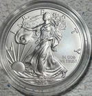 2019-W American Silver Eagle - BU