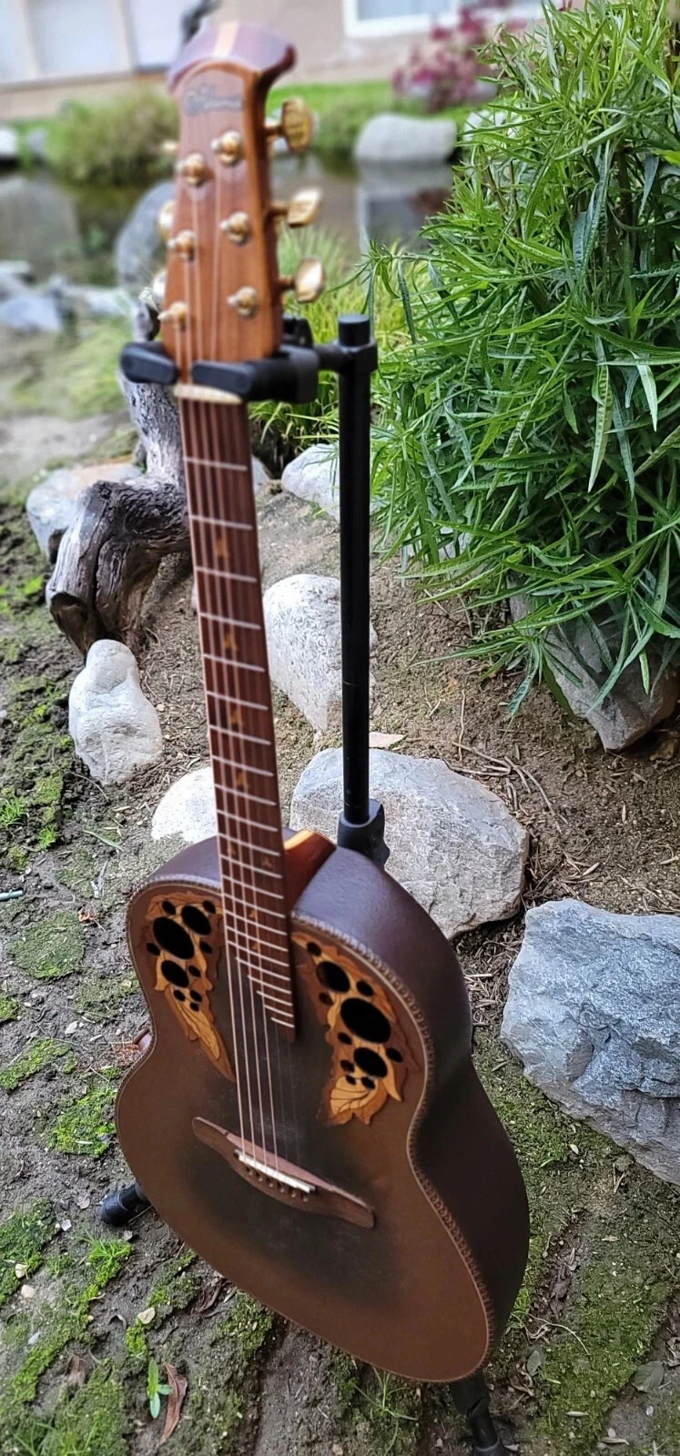 Picture 6 of 19