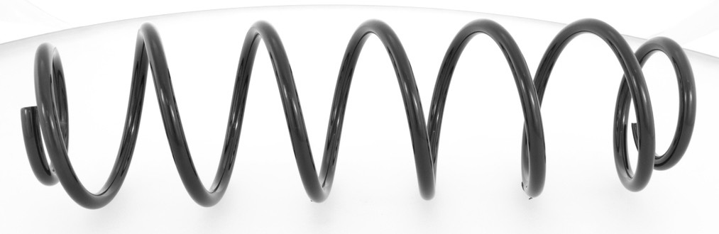 1x Coil Spring Rear Right=Left GH-223905