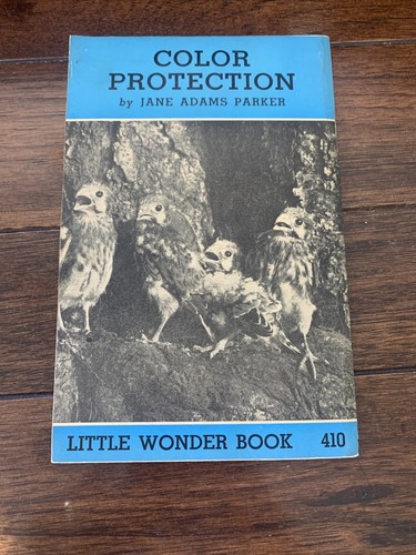 Color Protection By Jane Adams Parker 1946 Little Wonder Book 410 - Bild 2 von 3