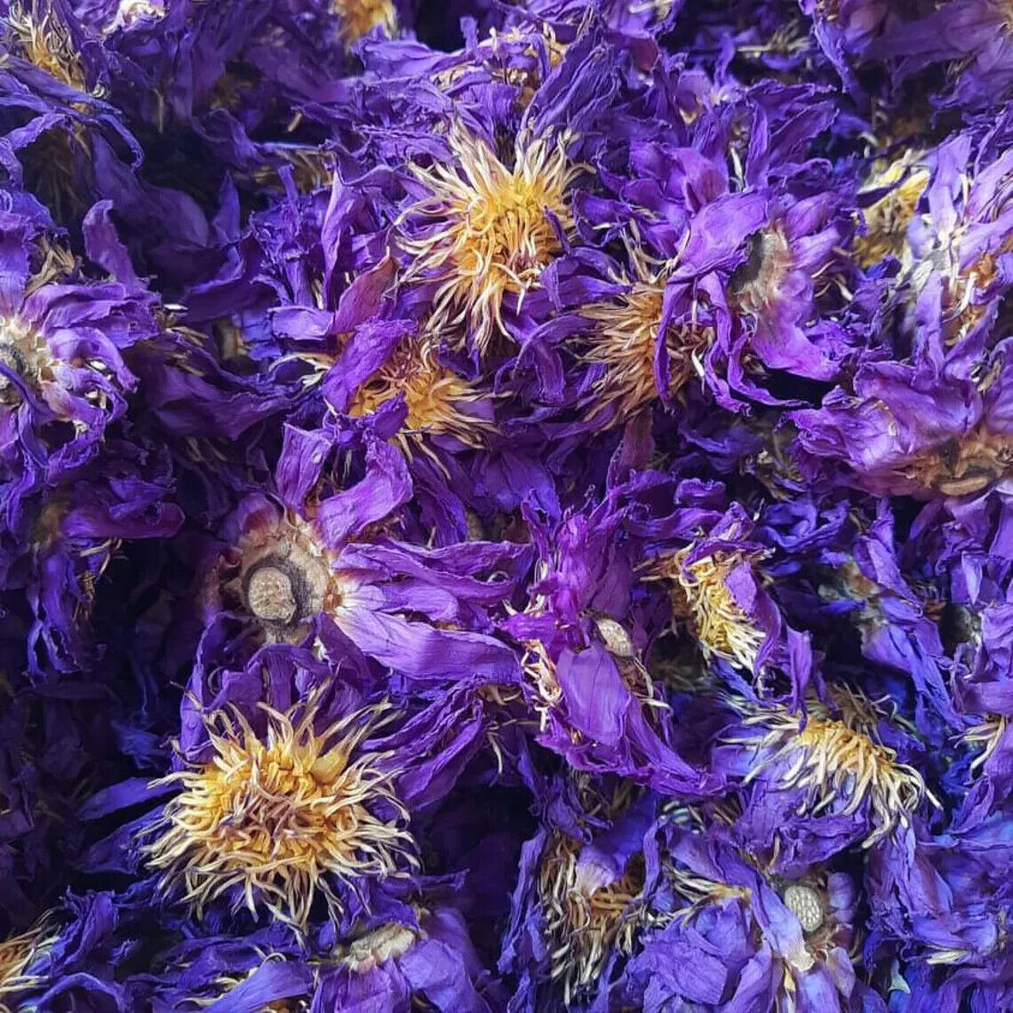 LOTO AZUL natural orgánico Nymphaea Caerulea flores secas 100% té de hierbas...