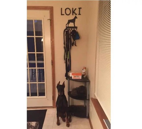 Doberman Pinscher (Cropped) Dog Leash Hanger Metal Wall Key Rack 5 Hooks - Picture 4 of 9