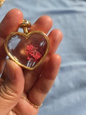 Real Dry Flower In Heart Shaped Pendant With Chain
