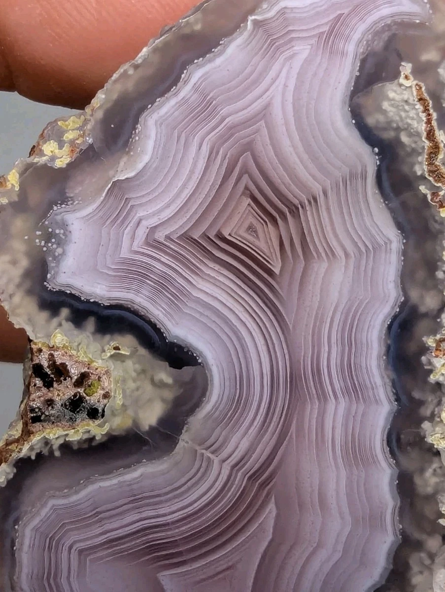 Laguna Agate for sale | eBay