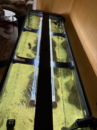 Jewel Rio 450 Aquarium and Extras - Picture 5 of 8