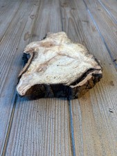 Pine Wood Slice approximately 7 inches by 7 inches by 1.75 inches thick