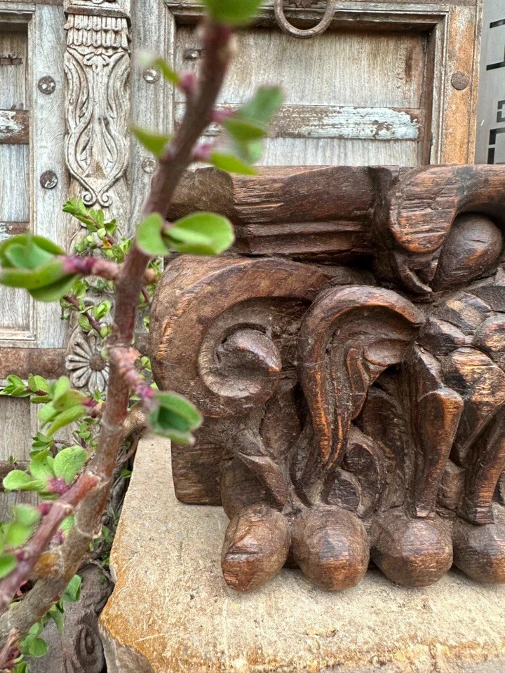 1890's Ancient Wooden Hand Crafted Peacock Figure Wall Hanging Oil Lamp Holder - Image 4 of 4