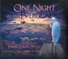 One Night in the Everglades (Long Term Ecological Research) by Laurel Larsen