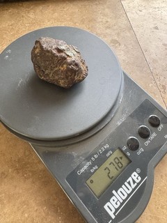 NWA 15364 meteorite Martian Nakhlite 278g/ gram fusion crusted individual!