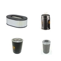 Filter Service Kit Passt Haulotte HA15 Dx Mit Hatz Motor YR2000- Re Kit FK19784